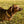 Furr Fam Dog Collar